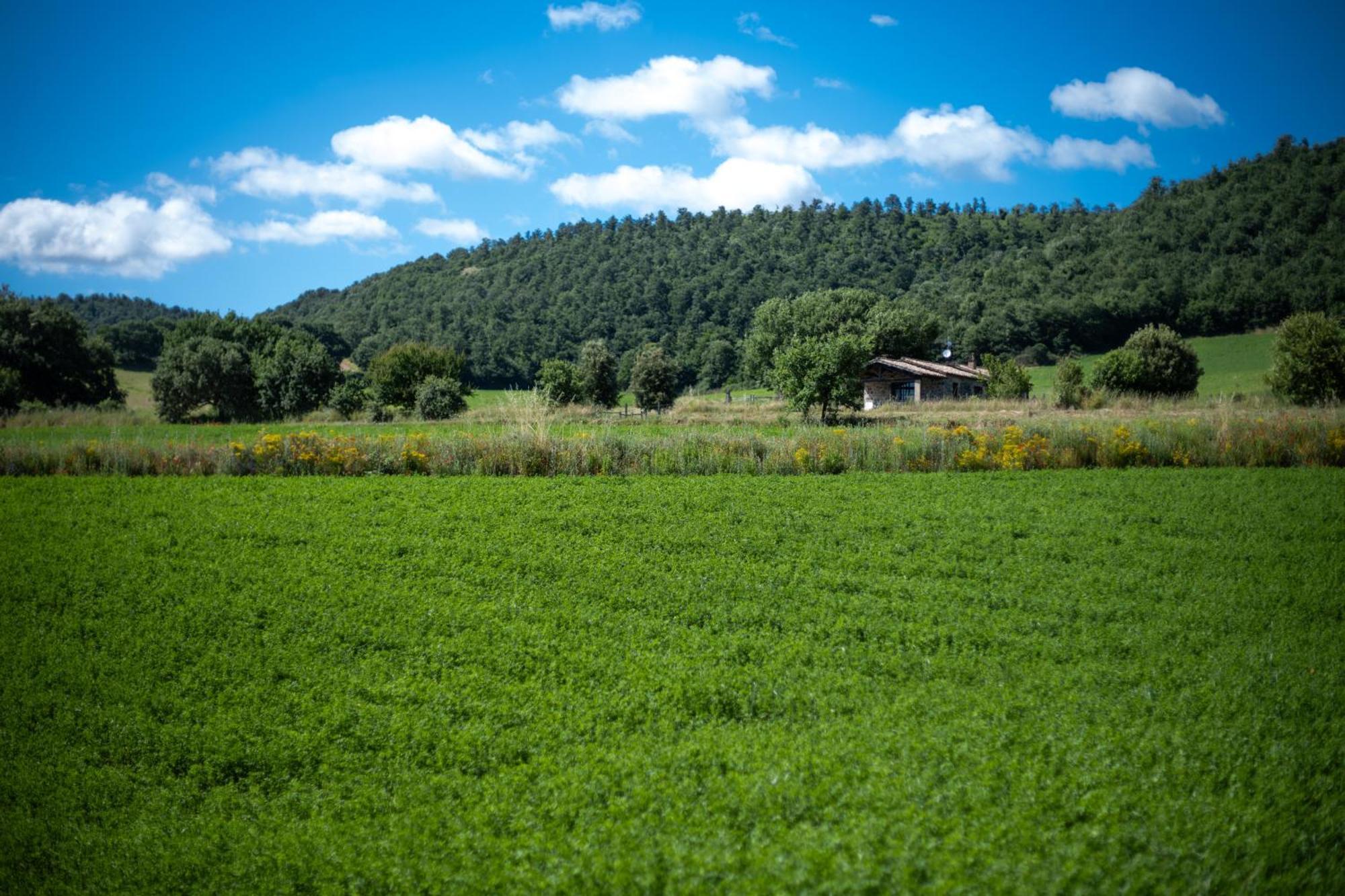 Agri Relais Il Poderaccio Di בולסנה מראה חיצוני תמונה
