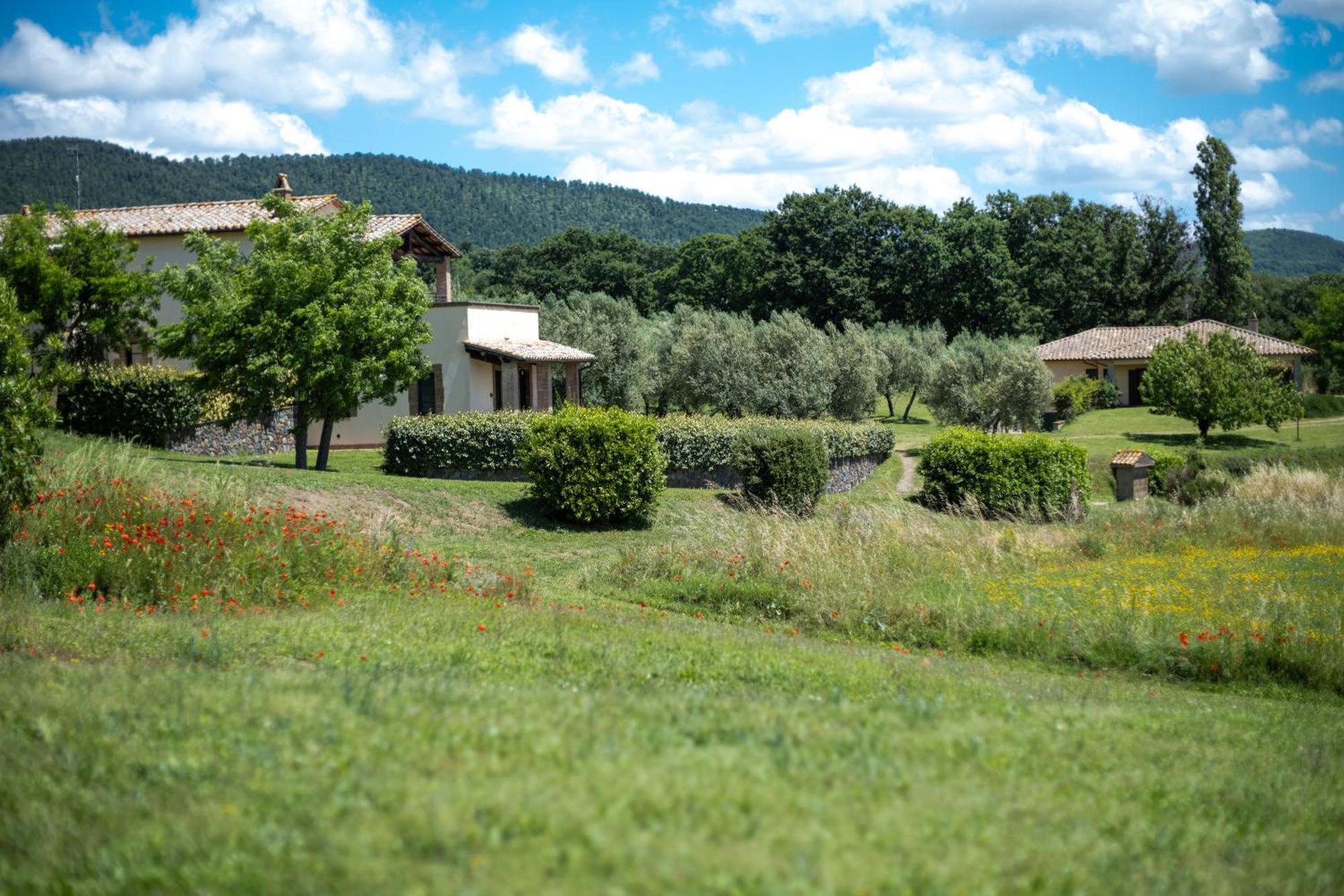 Agri Relais Il Poderaccio Di בולסנה מראה חיצוני תמונה